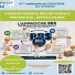3eme webinaire de l'ISST.2026
